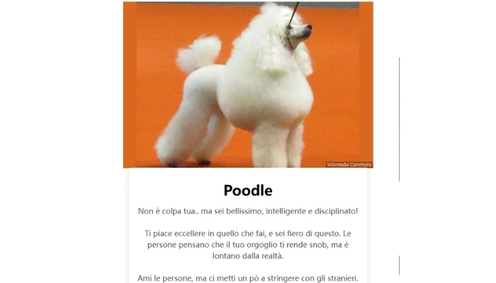 che tipo di cane sei quiz​
