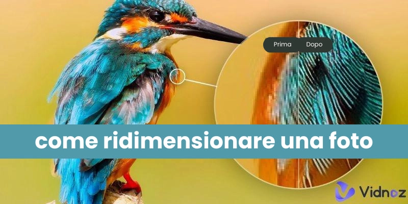 Le 5 migliori app per ridimensionare foto online gratis per social media, sfondi o altro