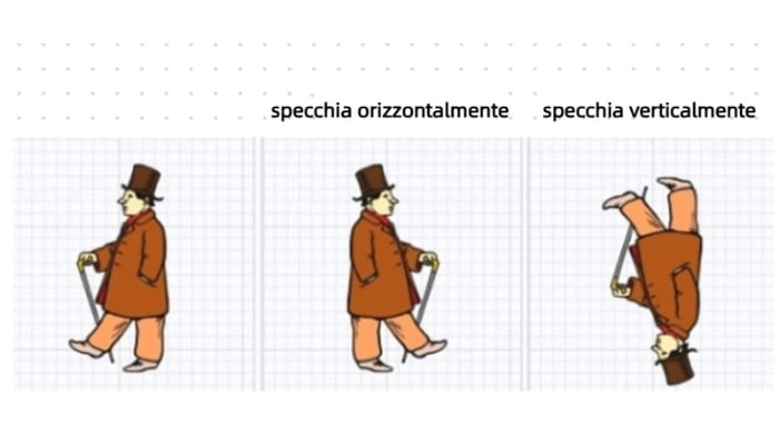 confronto foto specchio online