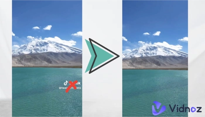 Rimuovere logo TikTok online in pochi secondi con strumenti AI