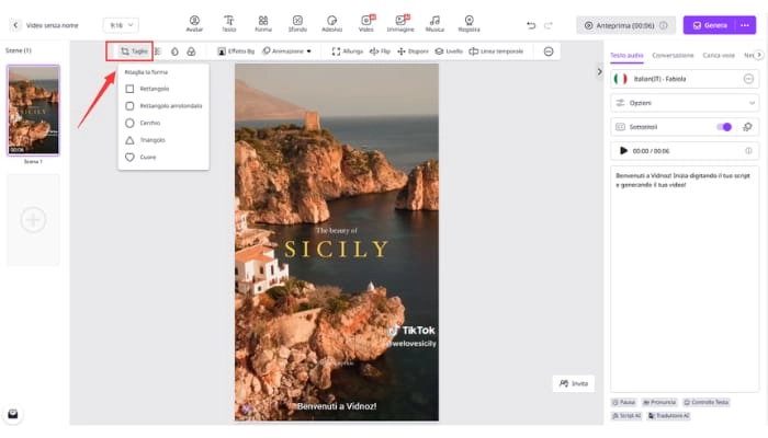 rimuovi il logo tiktok dal ritaglio del video vidnoz