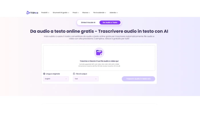 trova il testo con vidnoz ai